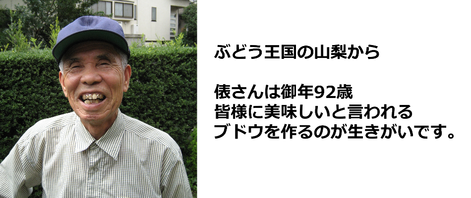 シャインマスカット