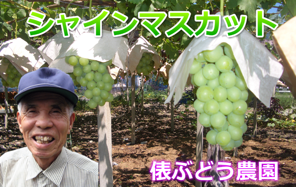 シャインマスカット